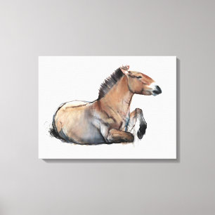 Lienzo Przewalski asentado 2011