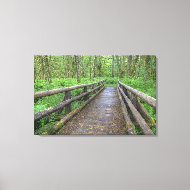 Lienzo Puente de madera, helechos y senderos de arce Glad (Anverso)
