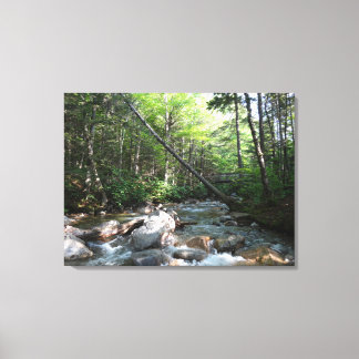 Lienzo Puente del río Pemigewasset en New Hampshire