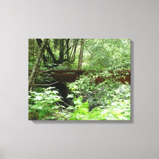 Lienzo Puente Muir Woods I