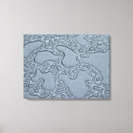 Lienzo Puentes húmedos de lluvia (gotas de lluvia)