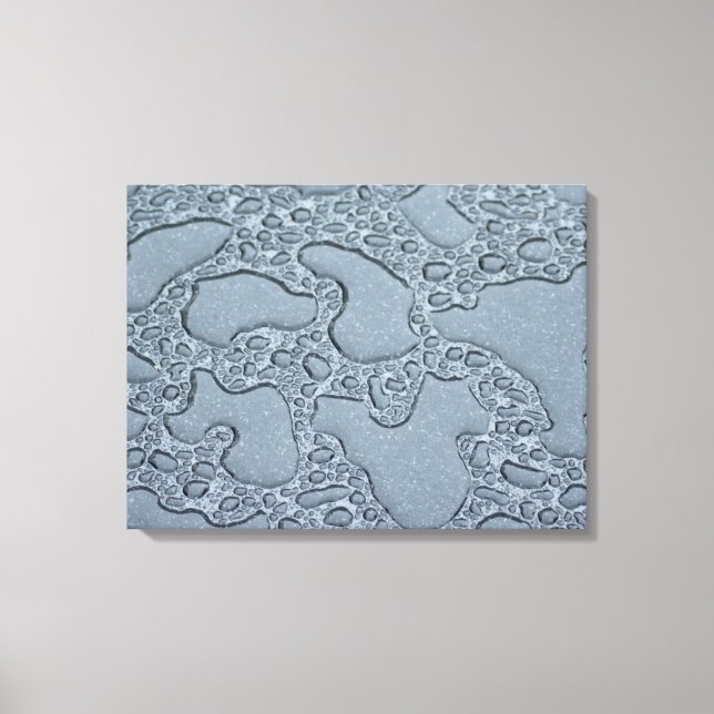 Lienzo Puentes húmedos de lluvia (gotas de lluvia) (Anverso)