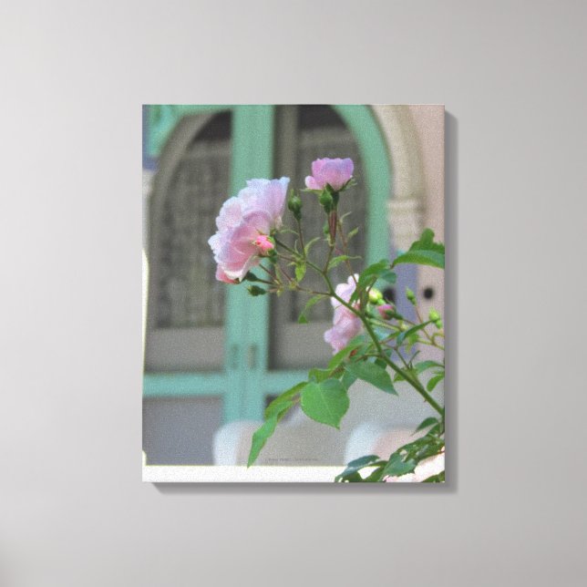 Lienzo Puerta verde y Rosa - Viñedo de Martha (Anverso)