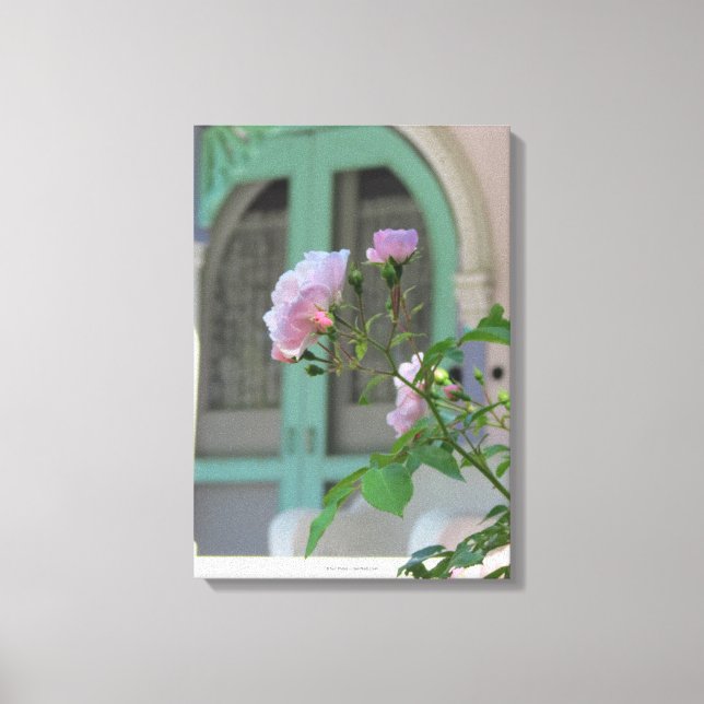 Lienzo Puerta verde y Rosa - Viñedo de Martha (Anverso)