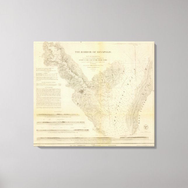 Lienzo Puerto de Anápolis (Anverso)