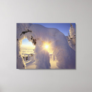 Lienzo Puesta de sol a través de los fantasmas de nieve e