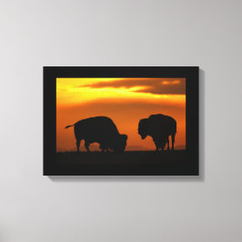 Lienzo puesta de sol de bison