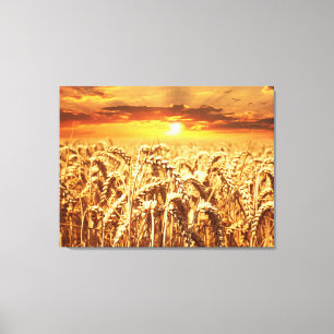 Lienzo Puesta de sol y campo de trigo