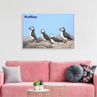 Puffins atlánticos