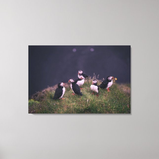 Lienzo Puffins atlánticos (Anverso)