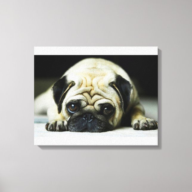 Lienzo Pug (Anverso)