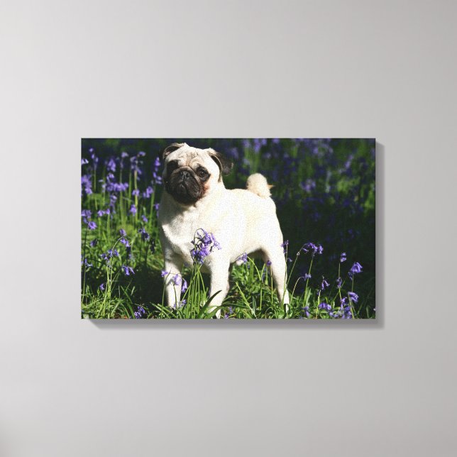 Lienzo Pug al alba parado en los Bluebells (Anverso)