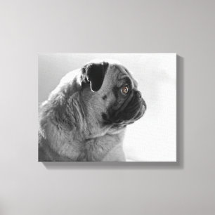 Lienzo Pug en perfil