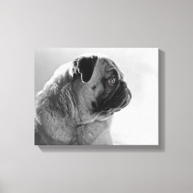 Lienzo Pug en perfil (Anverso)