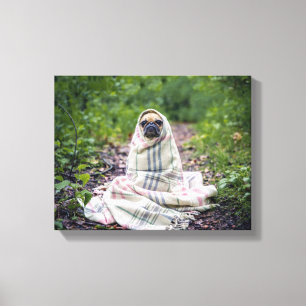 Lienzo Pug en una manta