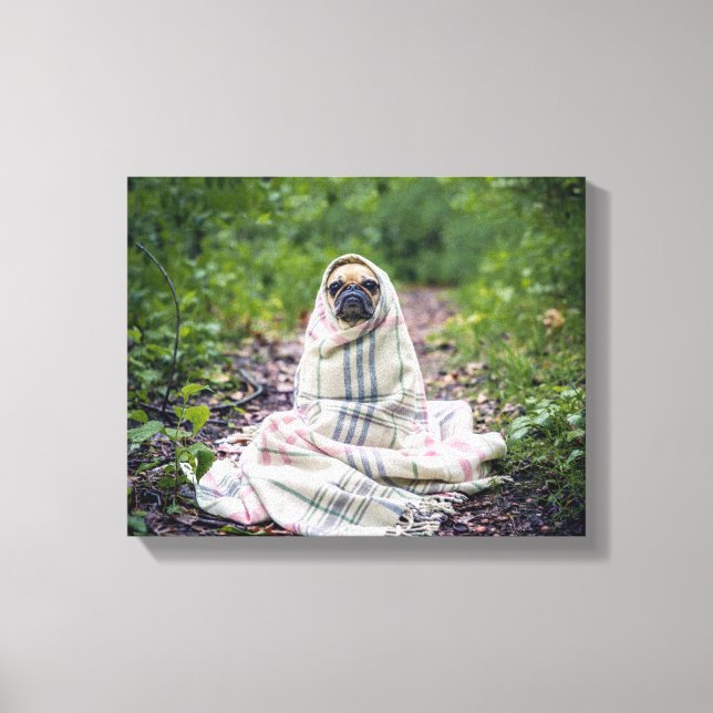 Lienzo Pug en una manta (Anverso)