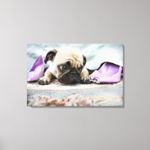 Lienzo Pug parece inocente después de masticar el dedo