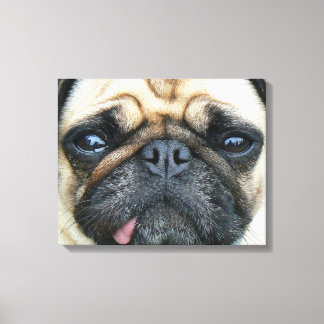 Lienzo Pug Puppy