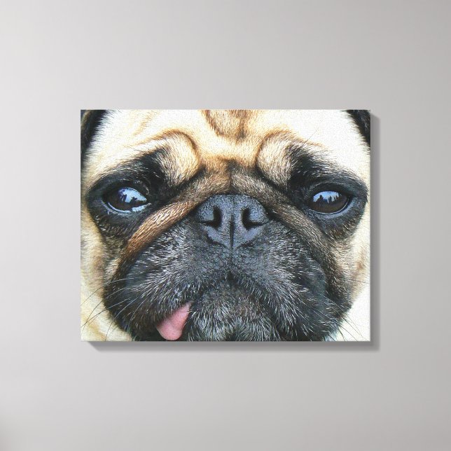 Lienzo Pug Puppy (Anverso)