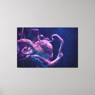 Lienzo Pulpo