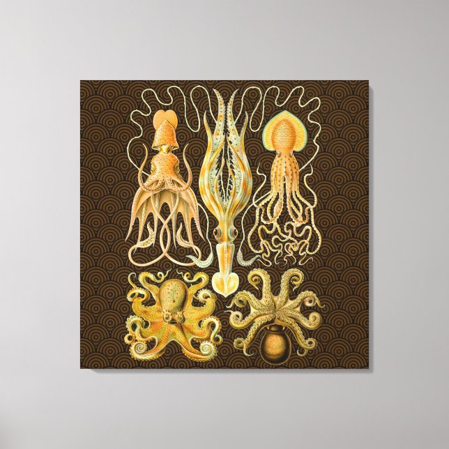 Lienzo Pulpo Calamar Cefalópodo Marino Naturaleza (Anverso)