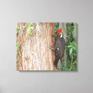 Lienzo Pulsación de corriente de Pileated en lona