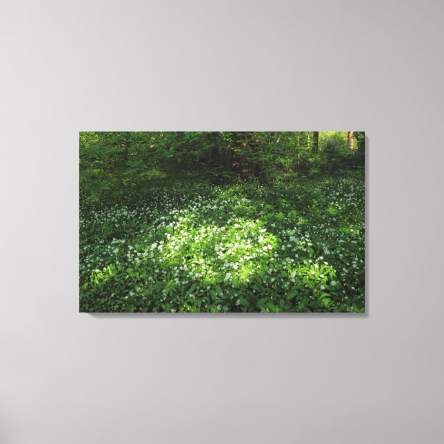 Lienzo Punto de ajo (Anverso)