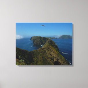 Lienzo Punto de Inspiración I de Anacapa en Islas del Can