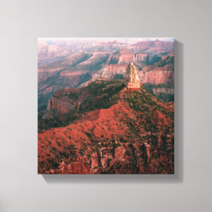 Lienzo Punto imperial y soporte Hayden en la puesta del