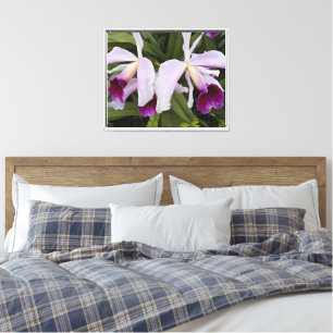 Lienzo Purple Cattleya Orchids Floral