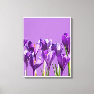 Lienzo Purple Crocus Awakening