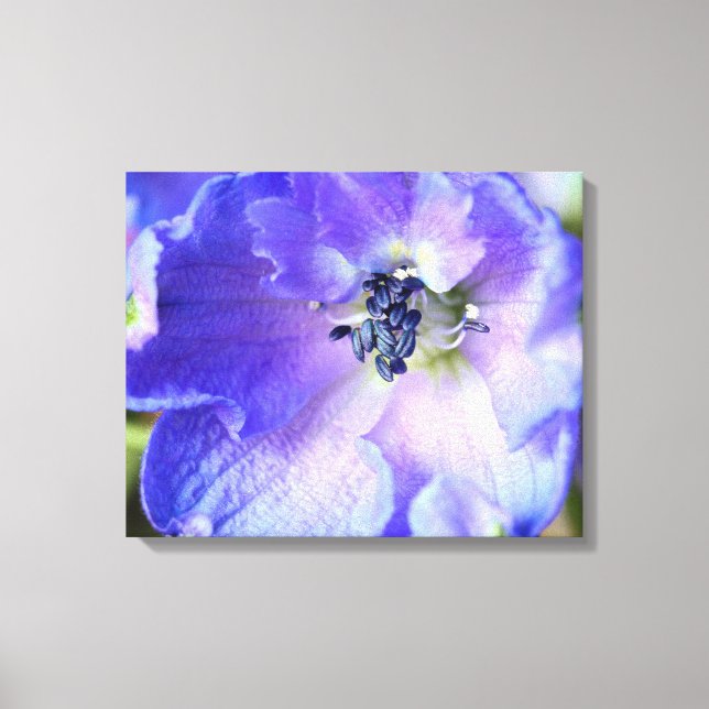 Lienzo Purple Frills (Anverso)