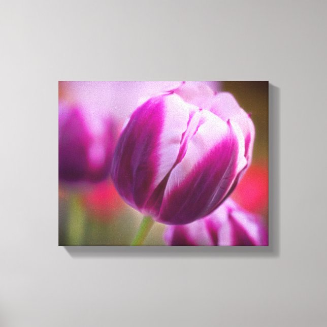 Lienzo Purple Two-Tone Tulip (Anverso)