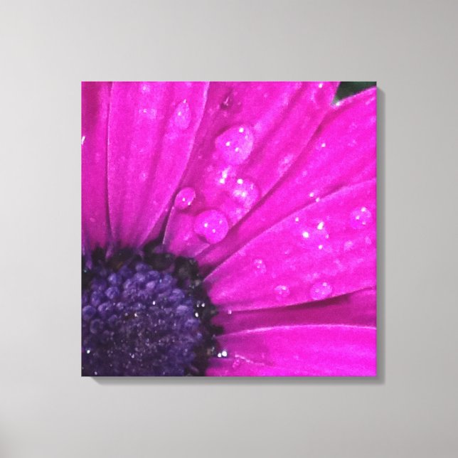 Lienzo Púrpura (Anverso)