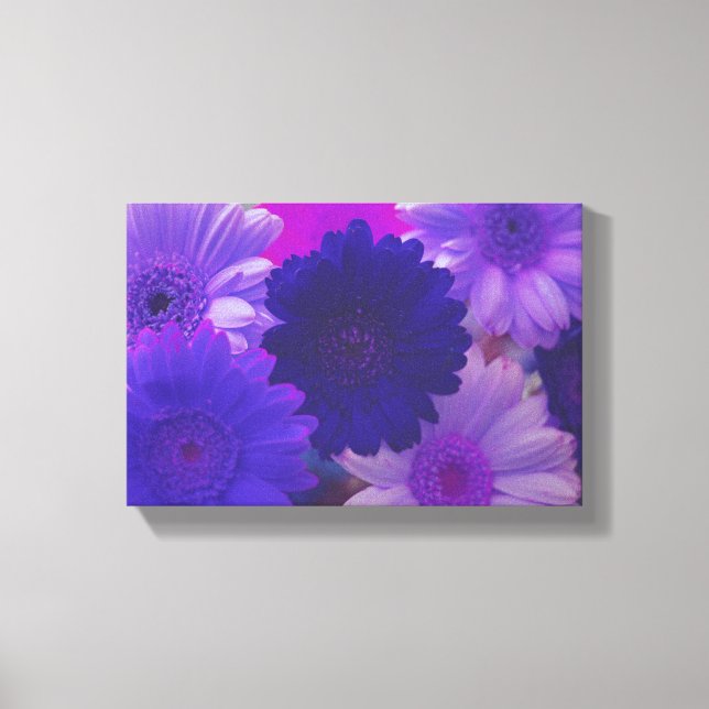 Lienzo Púrpura Daisy Flor Foto Canvas Wall Art Imprimir (Anverso)