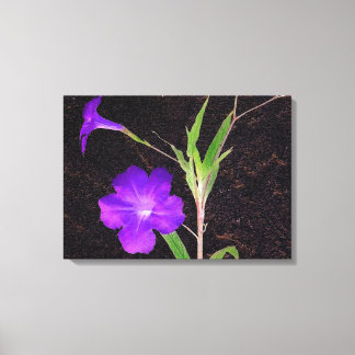 Lienzo Púrpura de Petunia