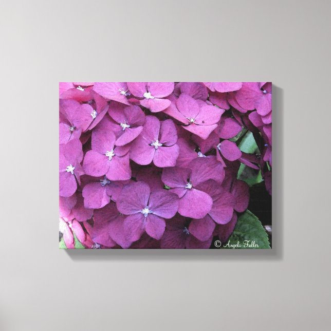 Lienzo Púrpura Hydrangea Blooms Canvas (Anverso)