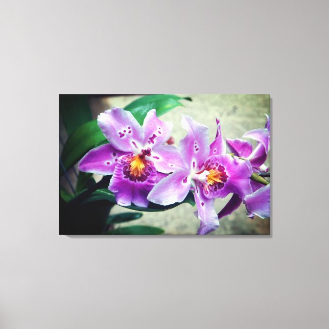 Lienzo Púrpura Orquídea Pintada (Anverso)
