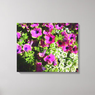 Lienzo Púrpura Petunias