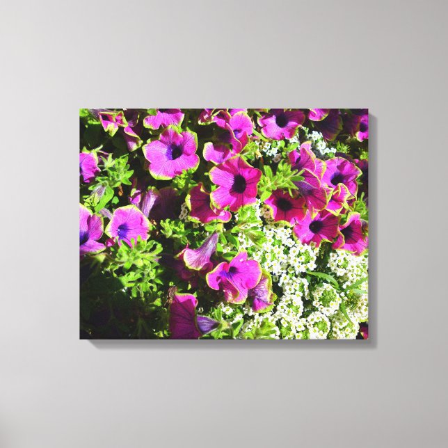Lienzo Púrpura Petunias (Anverso)