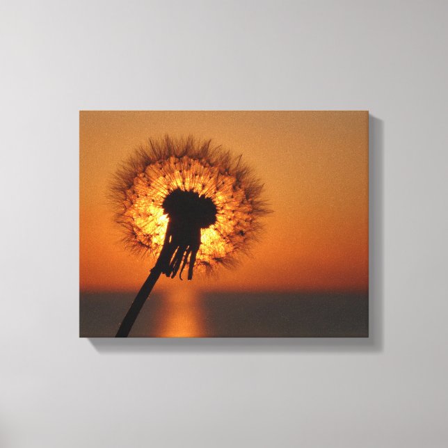 Lienzo Pusteblume, Dandelion/ (Anverso)
