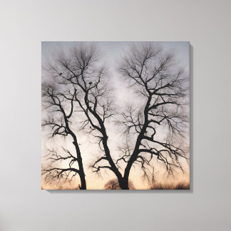 Lienzo Quadro Árvore seca no deserto