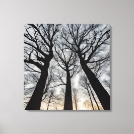 Lienzo Quadro Árvore seca no deserto