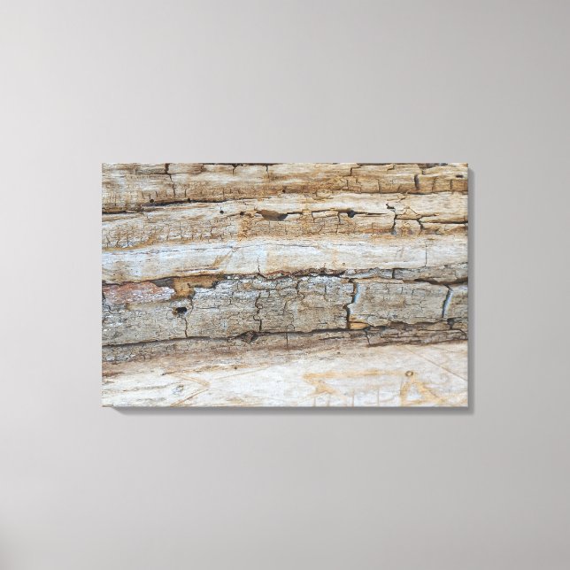 Lienzo QUADRO EM TELA CANVAS médio NATUREZA BRASIL (Anverso)