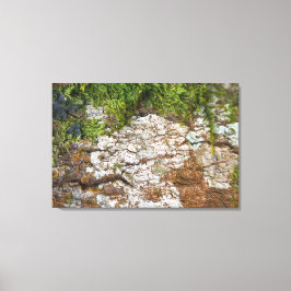 LIENZO QUADRO EM TELA CANVAS NATUREZA BRASIL