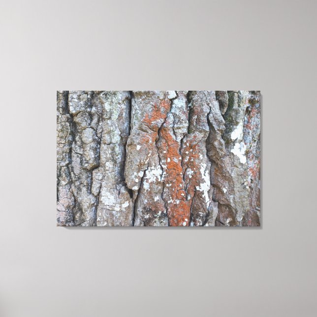 LIENZO QUADRO EM TELA CANVAS NATUREZA BRASIL (Anverso)