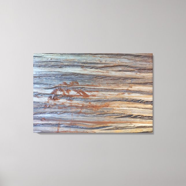 LIENZO QUADRO EM TELA CANVAS NATUREZA BRASIL (Anverso)