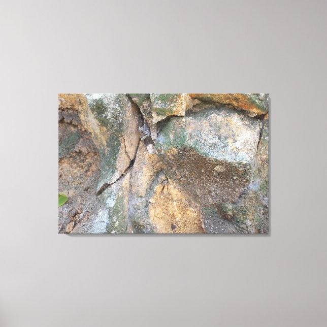 LIENZO QUADRO EM TELA CANVAS NATUREZA BRASIL (Anverso)