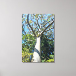 LIENZO QUADRO EM TELA CANVAS NATUREZA BRASIL