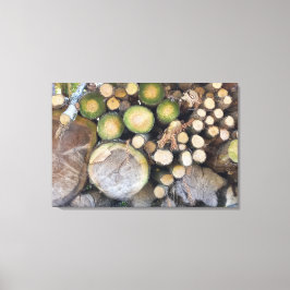 LIENZO QUADRO EM TELA CANVAS NATUREZA BRASIL